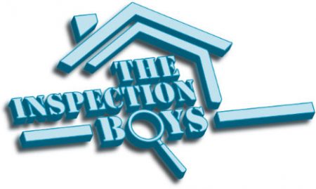 The Inspection Boys